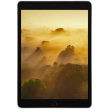تبلت ۱۰.۲ اینچ اپل مدل iPad (9th Generation) 10.2-Inch Wi-Fi 2021 ظرفیت 256 گیگابایت
