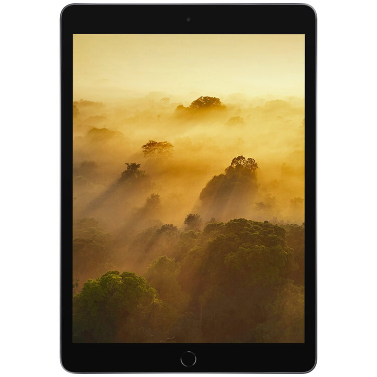 تبلت ۱۰.۲ اینچ اپل مدل iPad (9th Generation) 10.2-Inch Wi-Fi 2021 ظرفیت 256 گیگابایت